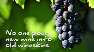 wineskins